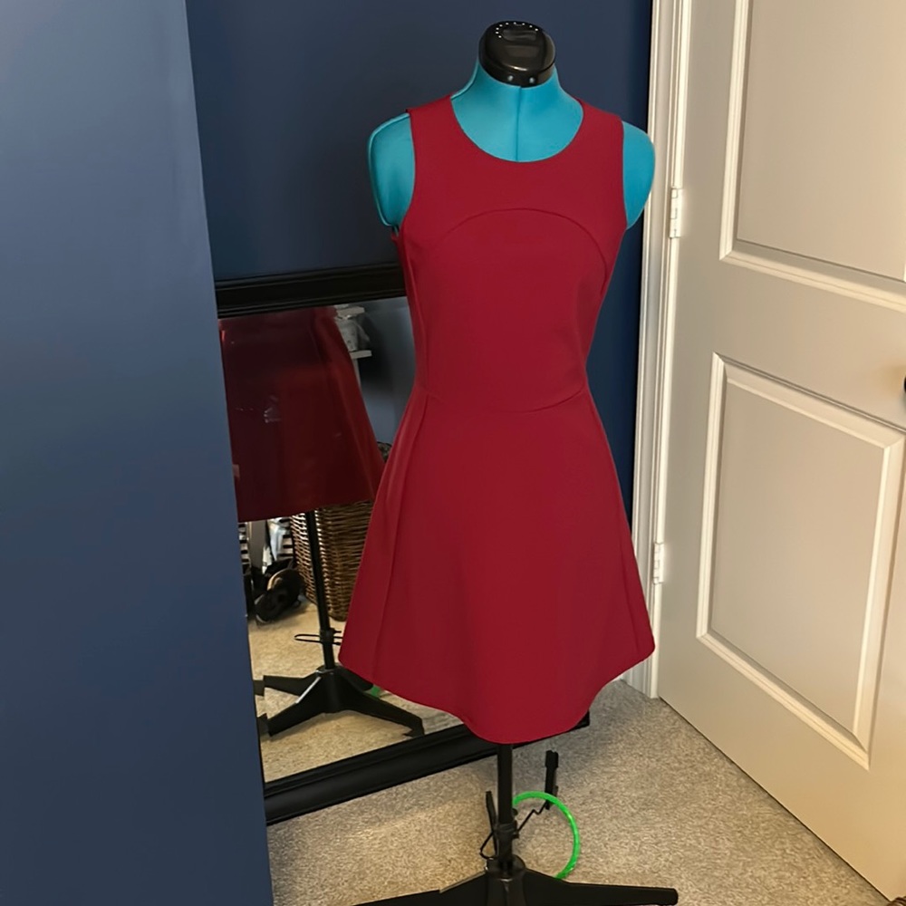 The Red Dress